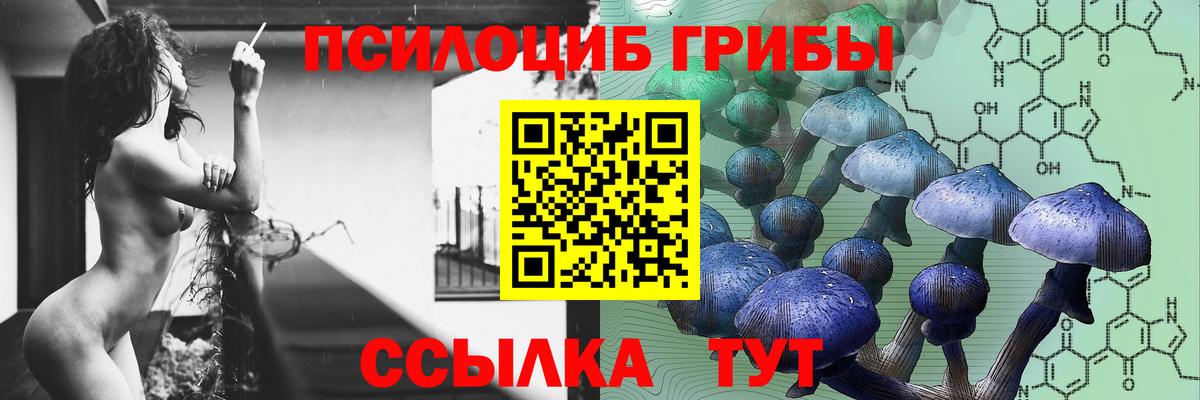 Псилоцибиновые грибы прущие грибы Костомукша